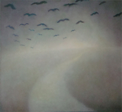 The fields.